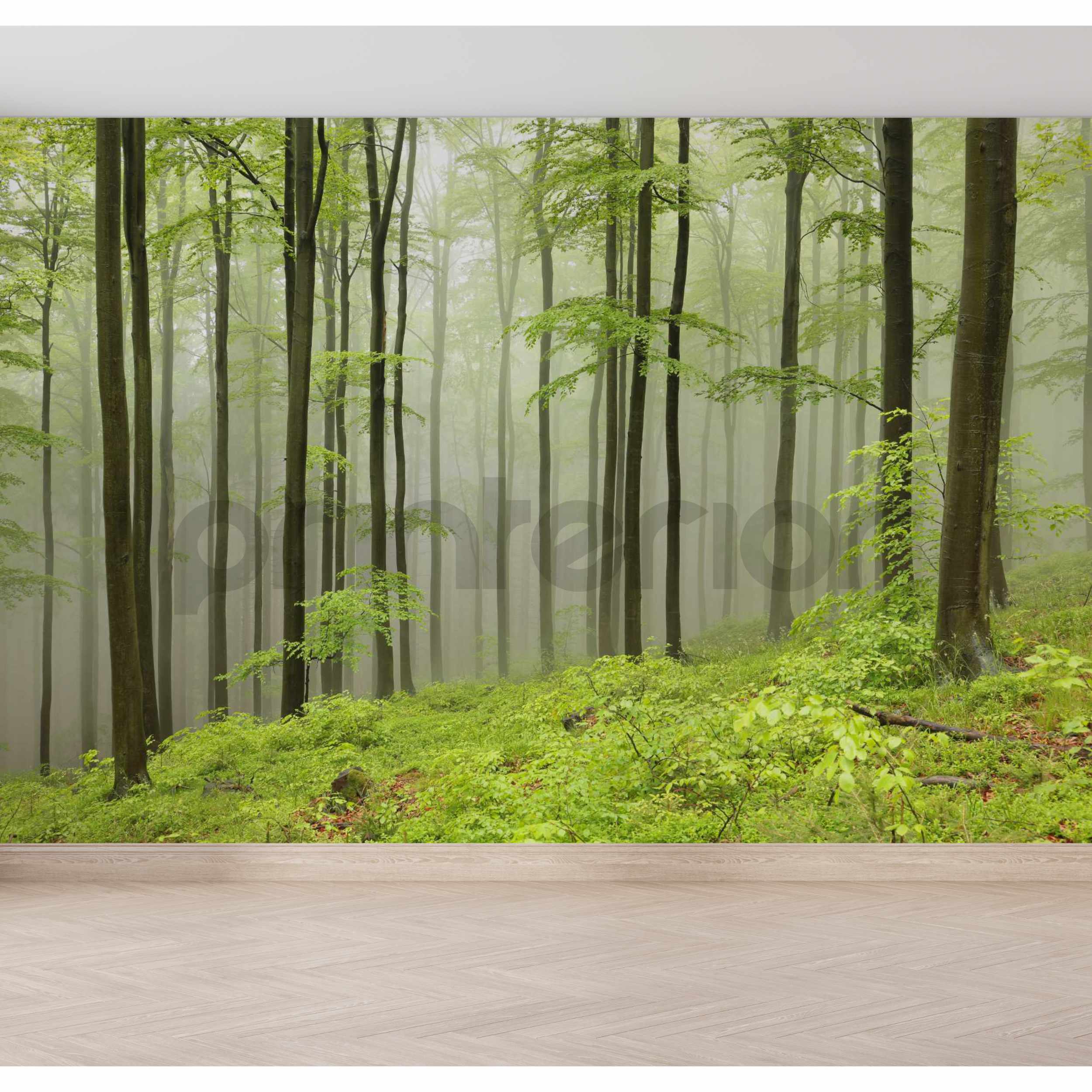 Green Forest - Printerior