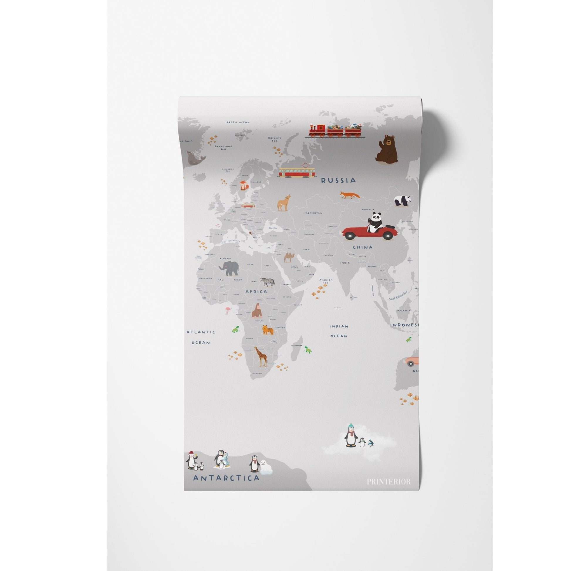 Discover & Play - Printerior