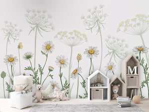 Field of Daisies ilustrim botanik.