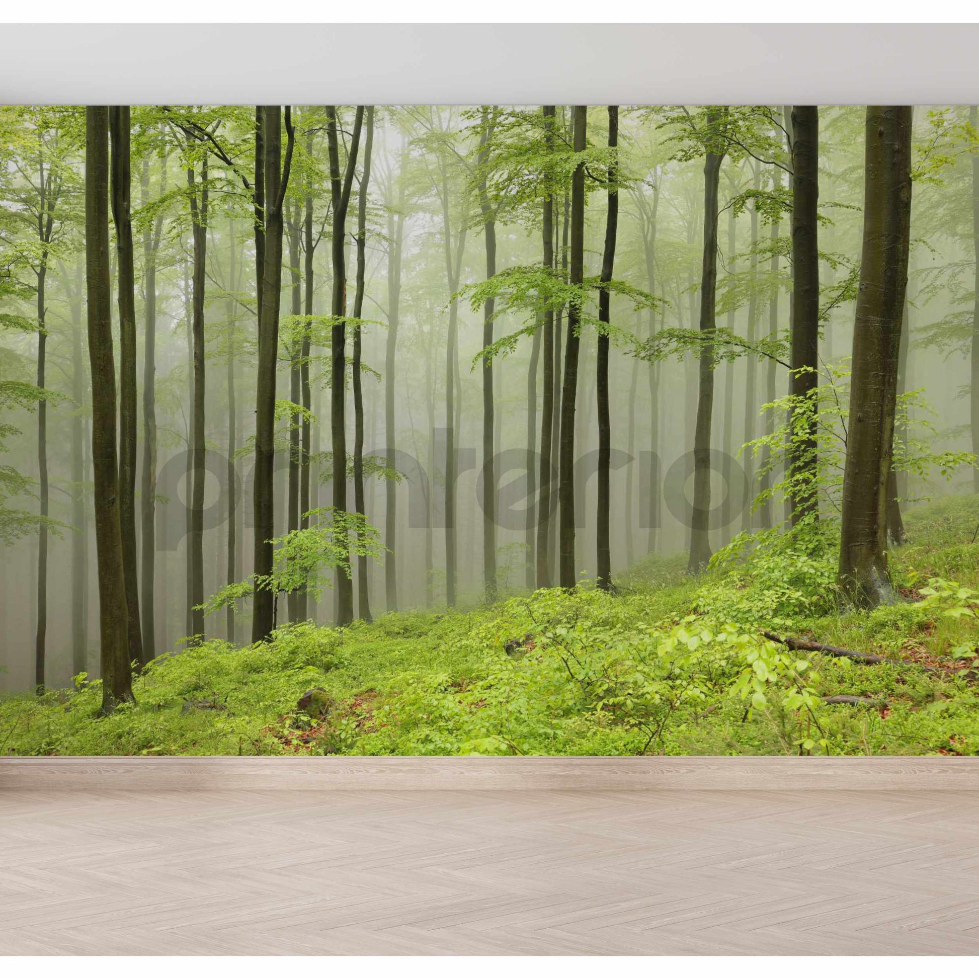 Green Forest - Printerior