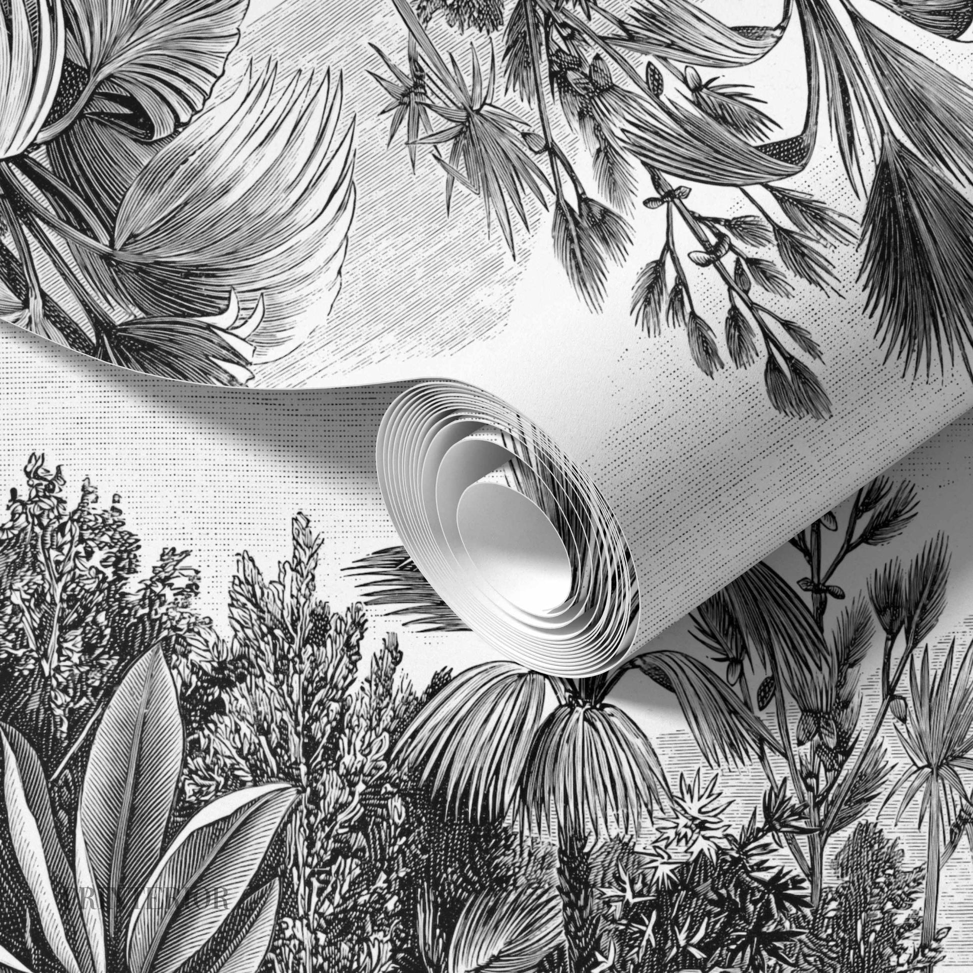 Hidden Tropical - Printerior