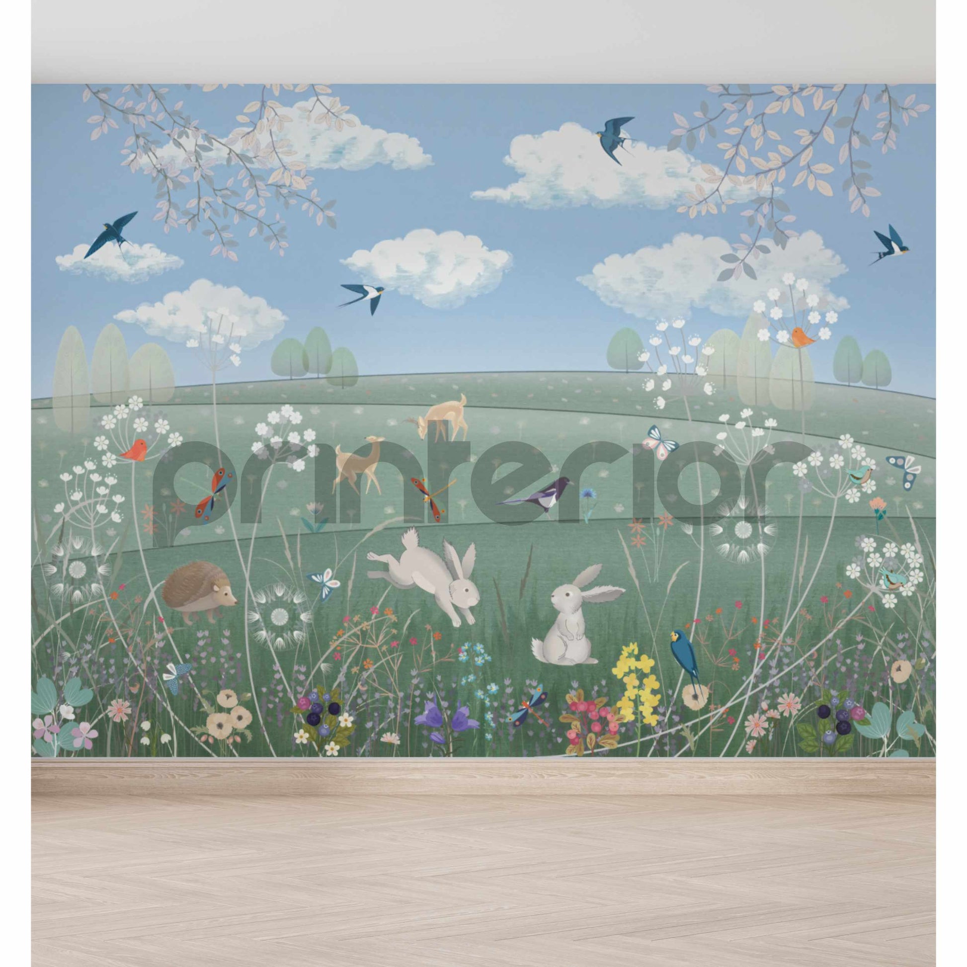 Lawn, Sunrise - Printerior