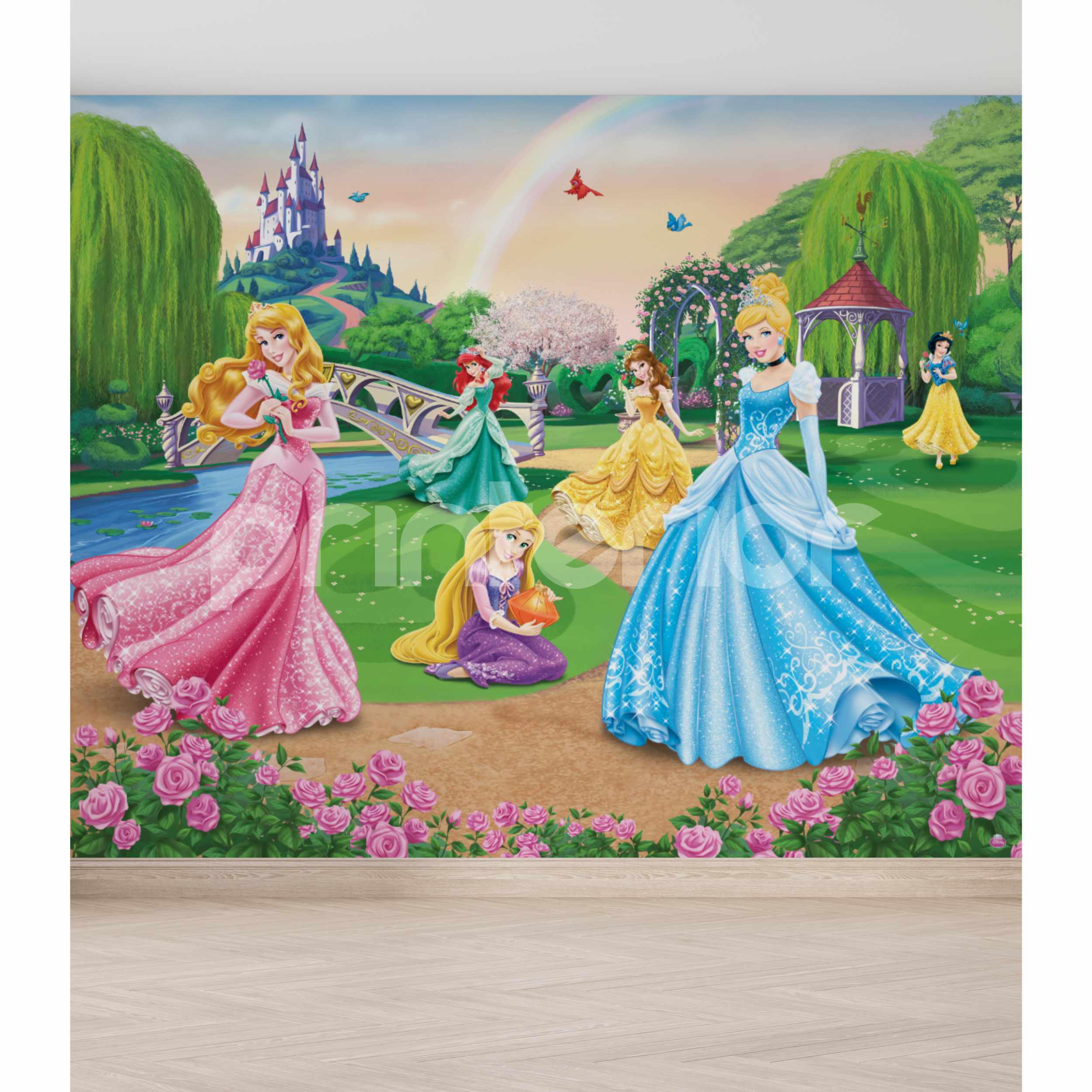 Leter murale me  Princesha - Krijoni një ambient magjik me letrat murale per femije. Leter murale me dizenjo unike.