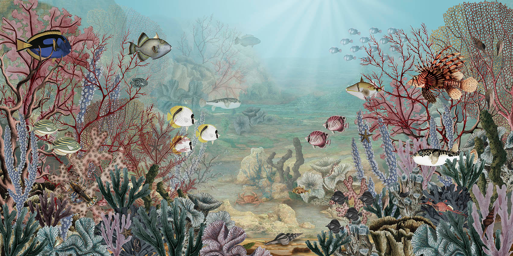 Coral Creatures, letër murale – dizajni i plotë për personalizim