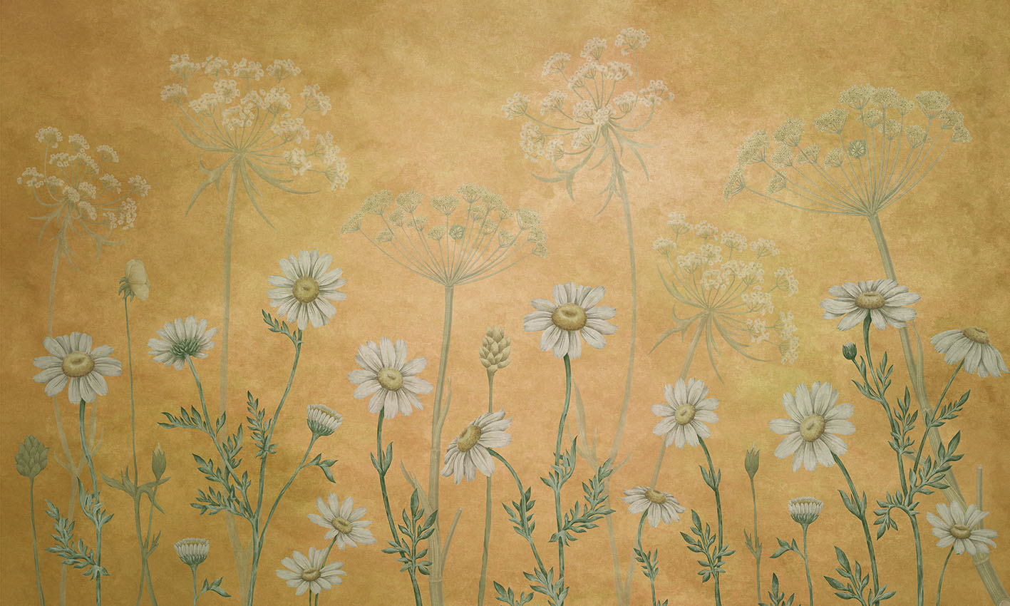Dazzling Daisies – Yellow, letër murale – dizajni i plotë për personalizim