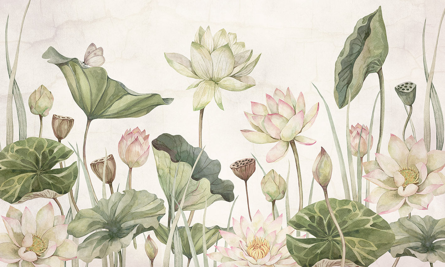 Lovely Water Lilies, letër murale – dizajni i plotë për personalizim